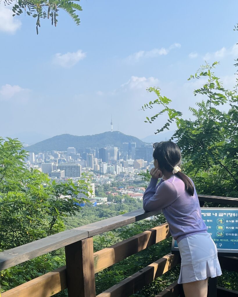 seoul city wall adaysophie