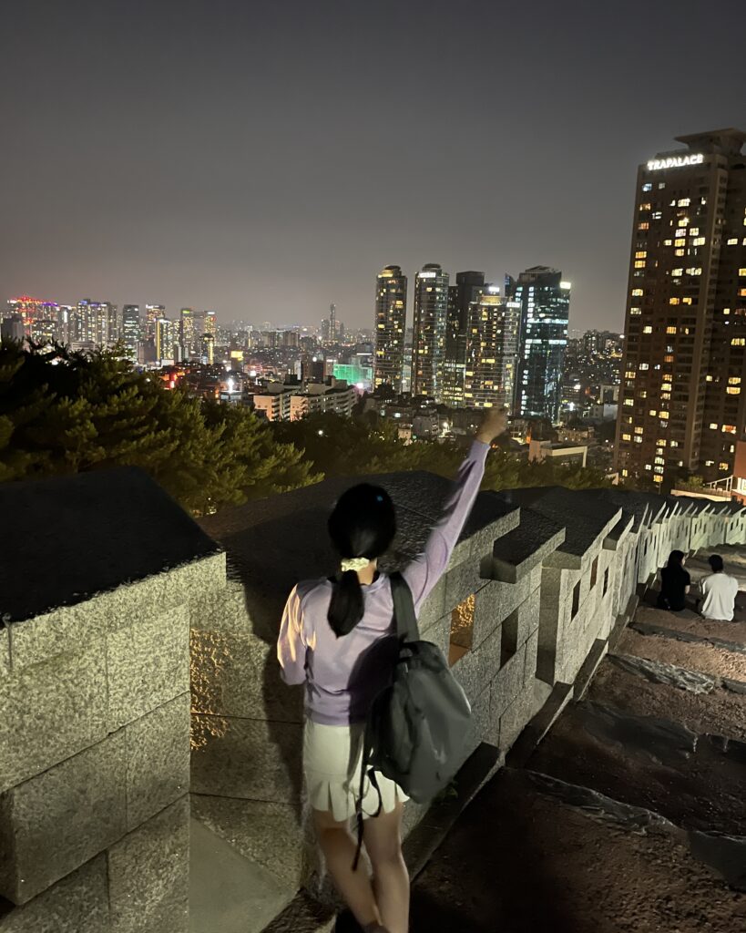 seoul city wall adaysophie